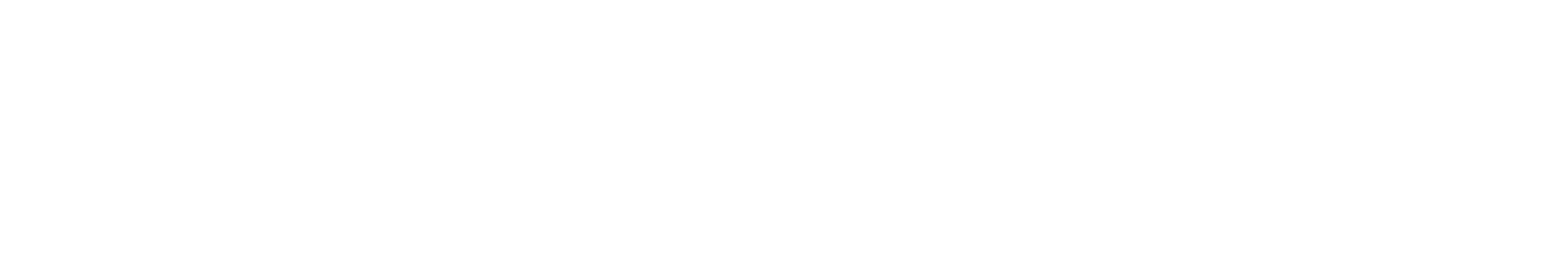 Consulente d'Immagine
